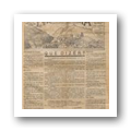 Digital representation thumbnail