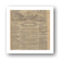 Estrela da Beira - Ano II, N.º 33, 1931-07-05