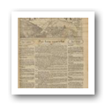 Estrela da Beira - Ano II, N.º 31, 1931-06-07