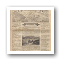 Estrela da Beira - Ano VI, N.º 135, 1935-11-03