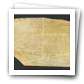 Digital representation thumbnail