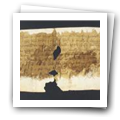 Digital representation thumbnail