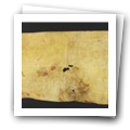 Digital representation thumbnail