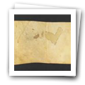 Digital representation thumbnail