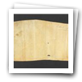 Digital representation thumbnail