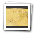 Digital representation thumbnail
