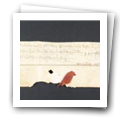 Digital representation thumbnail